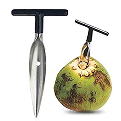 Coconut holer